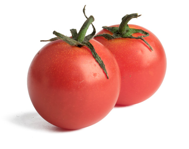 高分辨率的烹饪食材照片，美女番茄。图片下载