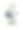 neophila或婴儿蓝眼睛植物，维多利亚植物学插图图片下载
