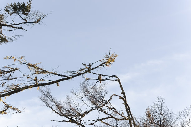 加利福尼亚州旧金山海岸城市风景库存照片图片下载