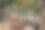 活动派对或婚礼接待的桌面布置库存照片图片下载