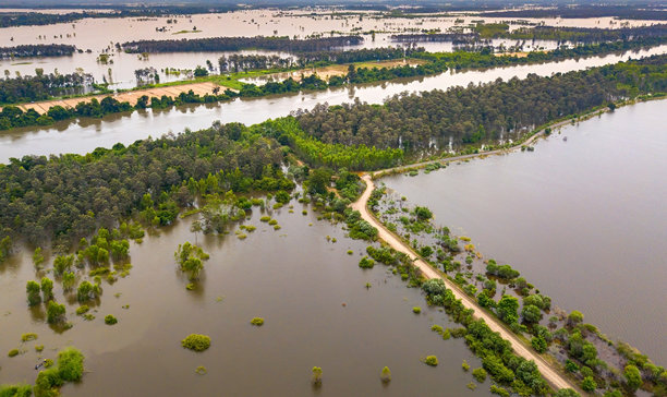俯视图无人机拍摄的航拍照片。被淹的稻田。因自然灾害而使稻田淹水。从道路和桥梁上俯瞰，泰国，亚洲。图片下载