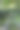 咖啡种植园的道路-库存照片图片下载