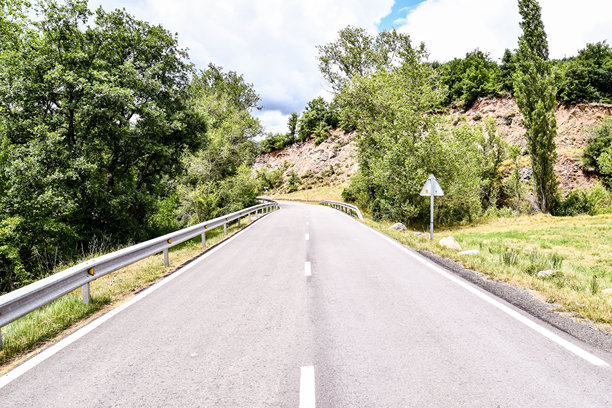 路在森林里，照片作为背景图片下载