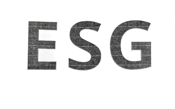 印有ESG（环境社会治理）字母的纸张照片，体现环境管理概念，留有文本空白，模糊的照片图片下载