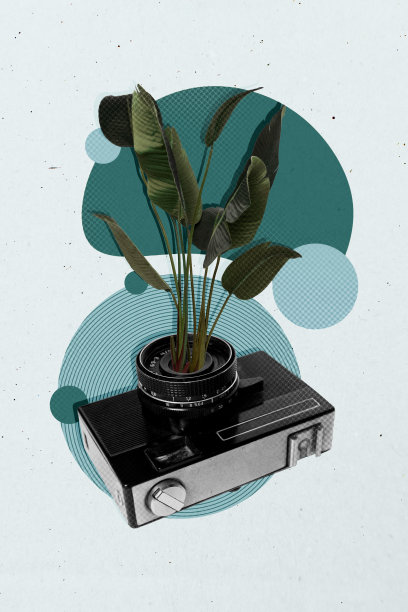 海报趋势草图模板 3D 照片拼贴，展示摄像记者拍摄爱好时刻，聚焦镜头、植物、自然、花朵、绿叶和绿色。图片下载