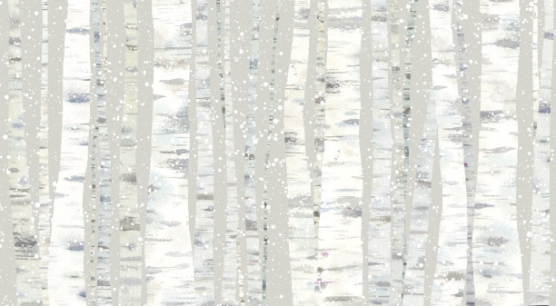 雪白的桦树林背景。宁静的冬季森林图像。图片下载