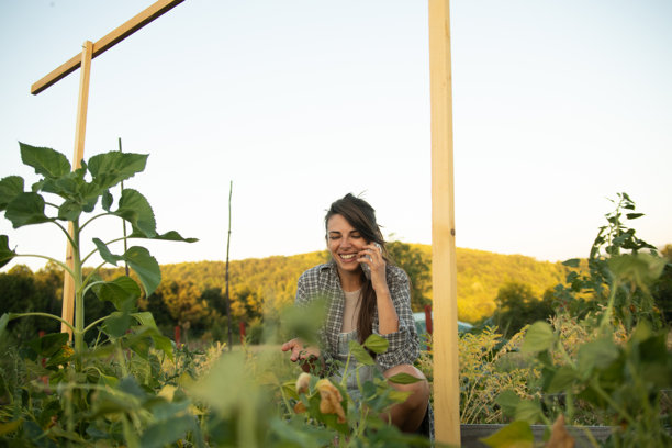 女性农民在蔬菜园中蹲着使用手机。库存图片图片下载