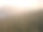 森林中整齐排列的桉树航拍照片图片下载