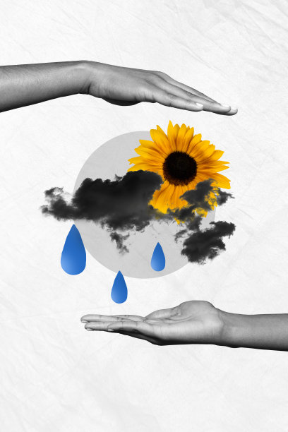 趋势艺术作品合成素描图像，3D照片拼贴，黑白两只手握住云朵，雨滴落下，向日葵，春季季节图片下载