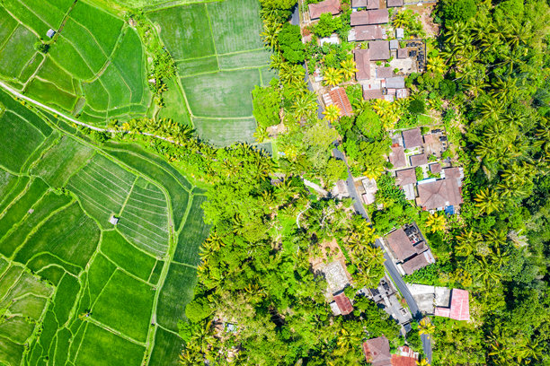 巴厘岛德加拉朗梯田的航拍照片，包括岛屿、稻田和田园风光。图片下载