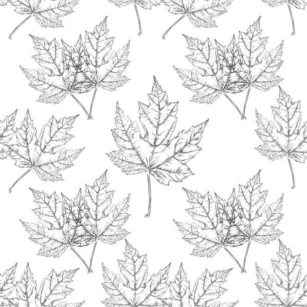 枫叶矢量墨水无缝图案图片下载