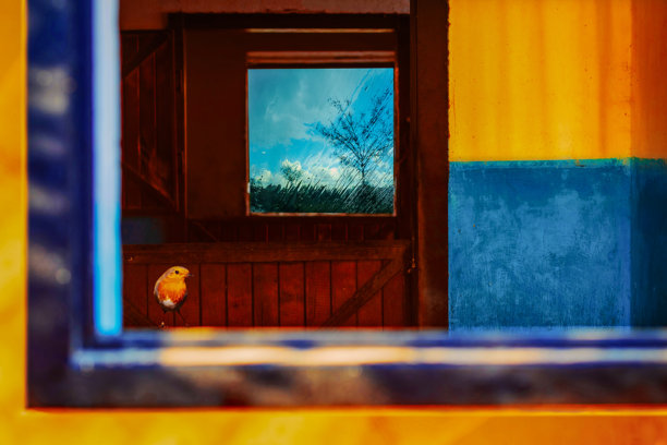 有客人的色彩斑斓的谷仓房间。抽象的照片。图片下载