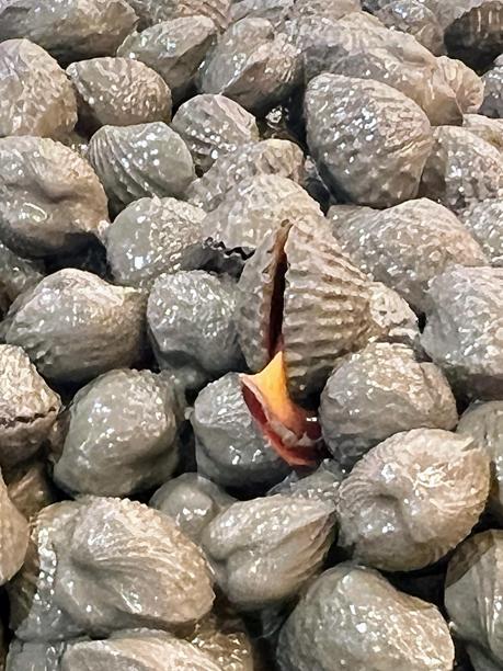 一堆坚果的照片，中间有一个去皮的苹果。图片下载