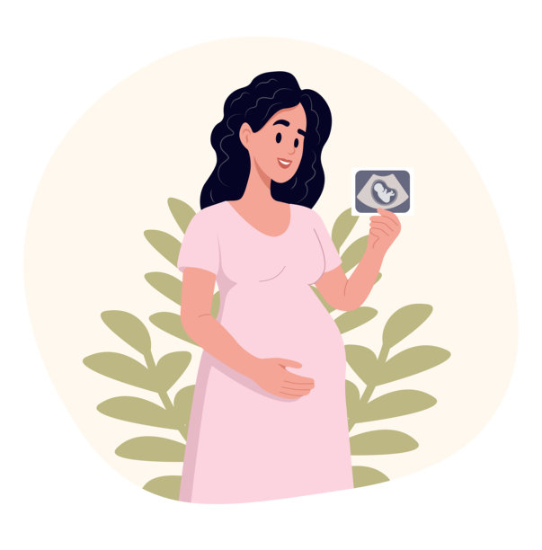 怀孕的概念。微笑的孕妇手持未来宝宝的超声波照片。白色背景上的扁平矢量插图。图片下载