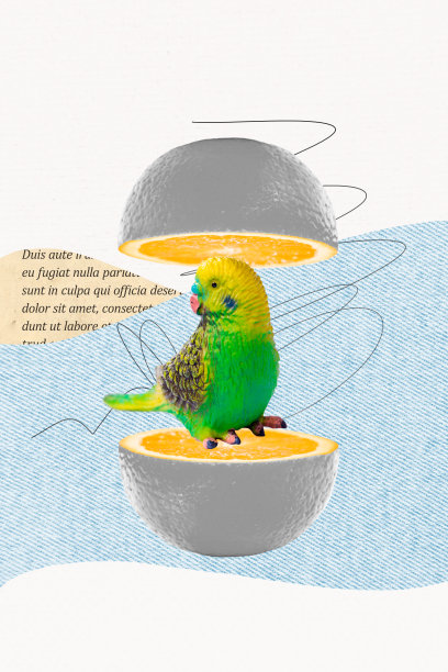 美丽的鹦鹉动物鸟类的垂直照片拼贴，绿色、黄色、橙色羽毛的仿制鹦鹉，孤立在涂鸦背景上。图片下载