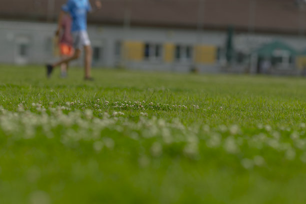 一张模糊的照片描绘了一个人在郁郁葱葱的草地上快乐地奔跑。图片下载