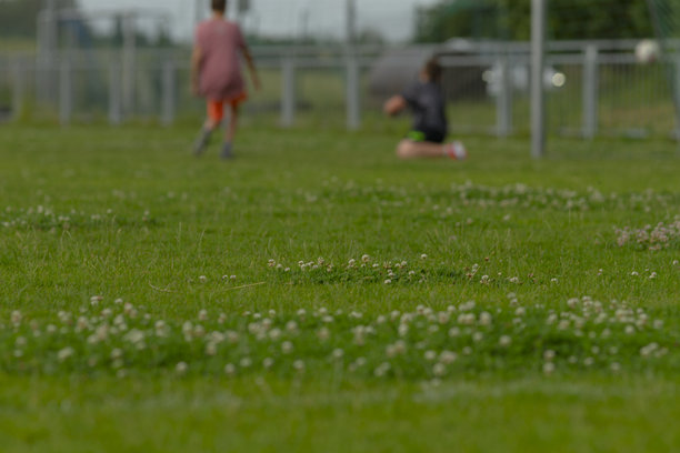 一张略微模糊的照片，展示了两个快乐的孩子在球场上踢足球。图片下载