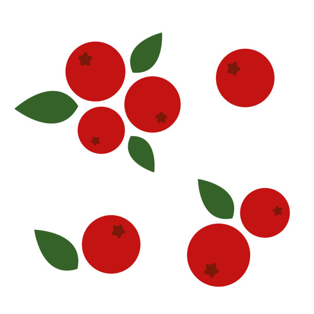 一组红色浆果和叶子。手握的蔓越莓、越橘。成熟的果实适合制作果酱或果汁甜点。白色背景上的蔓越莓。来自农场花园和野生森林的食物。图片下载