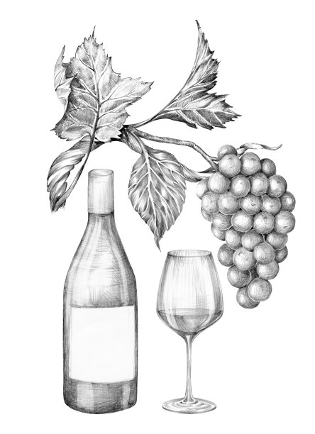 一瓶酒、一只酒杯和一串葡萄的构图。用铅笔手绘，无背景。图形绘画。适用于食品、包装和化妆品。图片下载