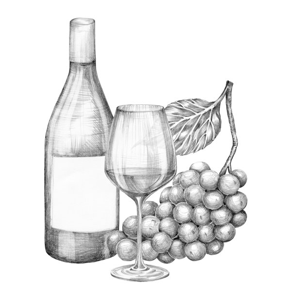 一瓶酒、一只酒杯和一串葡萄的构图。用铅笔手绘，无背景。图形绘画。适用于食品、包装和化妆品。图片下载