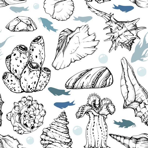 海洋生物，海洋水下生物鱼类，贝壳藻类海藻，笔墨写生手绘。无缝图案插图，风格化，孤立在白色。动物园商店，水族馆，化妆品，度假村图片下载