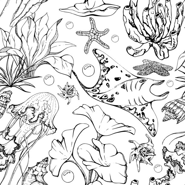 海洋生物，海洋水下生物鱼类，贝壳藻类海藻，笔墨写生手绘。无缝图案插图，风格化，孤立在白色。动物园商店，水族馆，化妆品，度假村图片下载