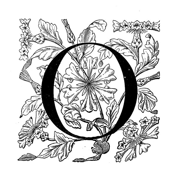 古董艺术雕刻插图:华丽的字母O图片下载
