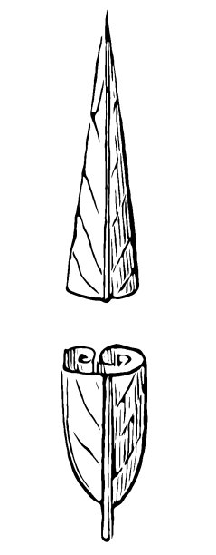 黑杨树，又称黑杨树，是杨树叶的一种图片下载