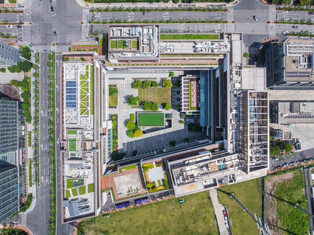 纽约大学上海图片下载