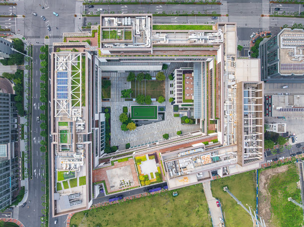 纽约大学上海图片下载