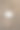沙滩沙子上贝壳的特写照片图片下载