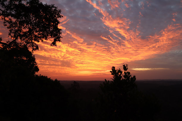 美丽的日出天空照片，伴有树叶图片下载
