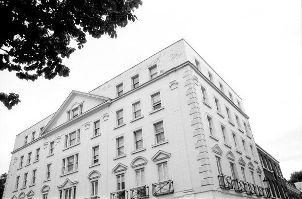 颗粒感的模拟复古照片，展示了一座白色建筑和一根树枝图片下载