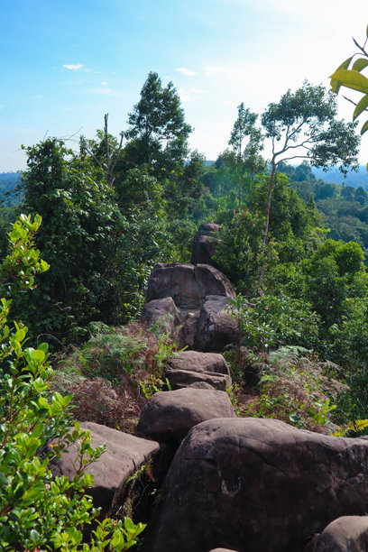 自然的岩石山丘和森林照片图片下载