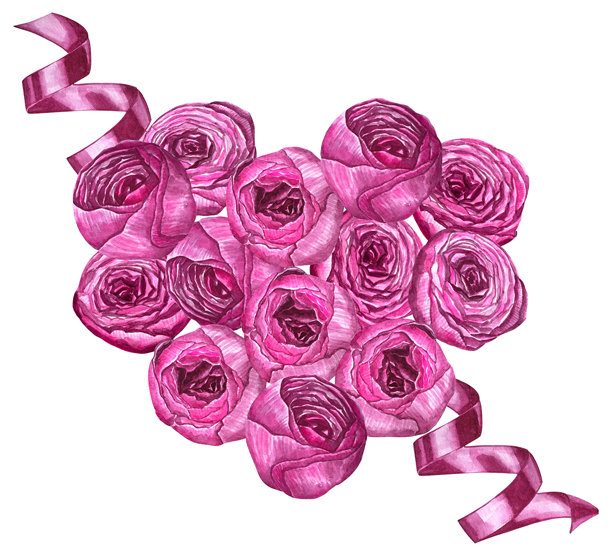 粉色牡丹心形花卉水彩插画绘画植物艺术透明贺卡文具婚礼新娘家居装饰。图片下载