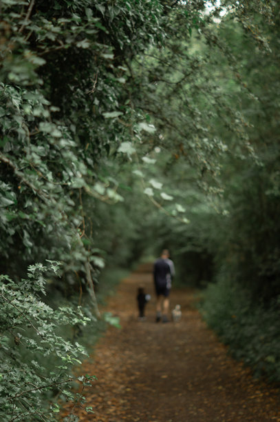 一张模糊的照片，展示了一位父亲带着婴儿和狗在绿树成荫、阳光斑驳的小路上散步。柔和的焦点突出了运动和简单的快乐。图片下载