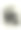 描写大象和老虎之间的争斗，19世纪图片下载