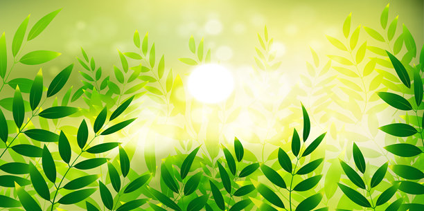 近景的绿叶在模糊的绿色植物背景在花园与复制空间使用图片下载