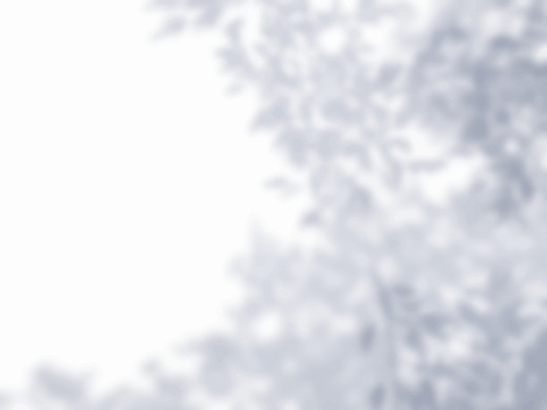 白墙上投射的树影背景素材图片下载