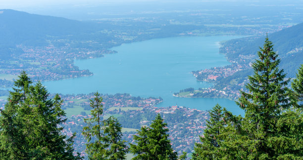 高角度的树木和城市景观图片下载