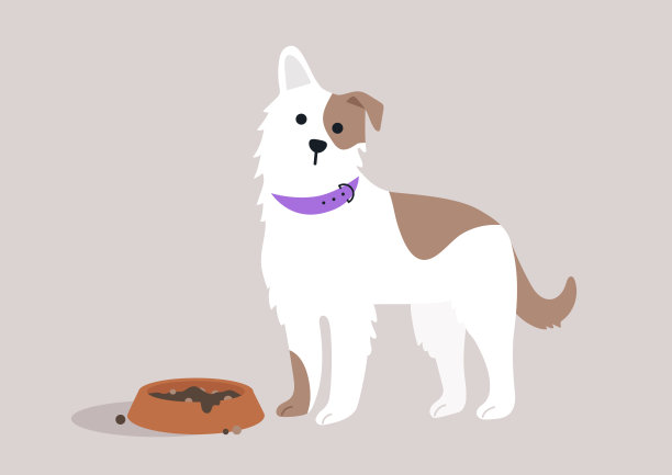 顽皮的狗狗在温馨愉快的室内空间享受美食，尽情品味每一口，弄得一团糟。图片下载