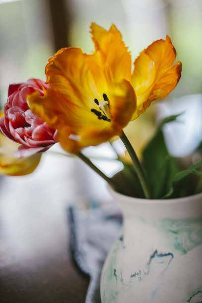手绘花瓶与五彩缤纷的郁金香图片下载