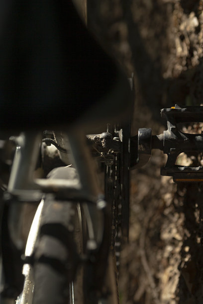 一张特写照片，捕捉到一个人在树林中骑自行车的瞬间图片下载