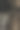 一张特写照片，捕捉到一个人在树林中骑自行车的瞬间图片下载