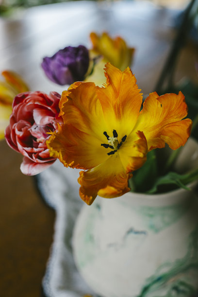 手绘花瓶与五彩缤纷的郁金香图片下载