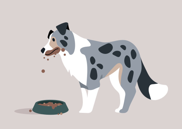 顽皮的狗狗在温馨愉快的室内空间享受美食，尽情品味每一口，弄得一团糟。图片下载