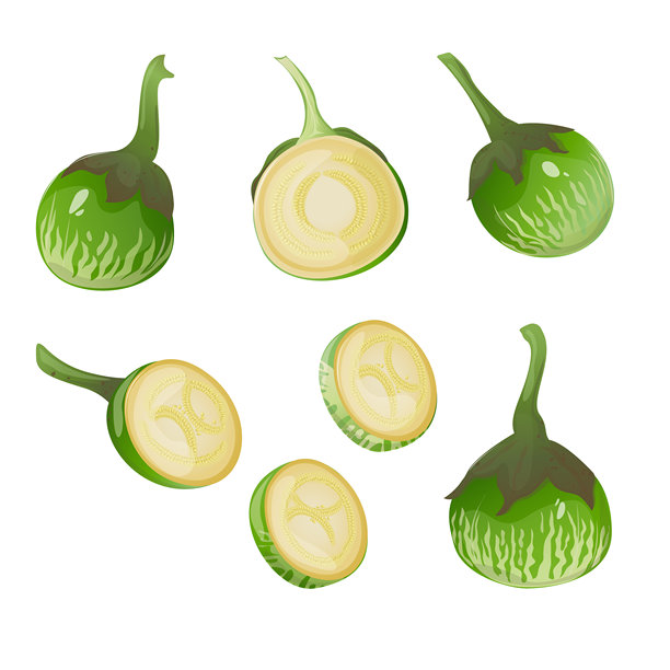 泰国茄子，热带蔬菜，广泛用于东南亚菜肴。适用于食品包装、食谱书籍、餐厅菜单、教育材料、博客和农贸市场推广。图片下载