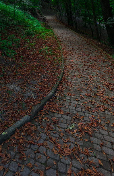 黄昏恐怖公园弯曲步道，铺砌的秋季黄昏灯光公园竖版照片图片下载