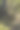 扭曲的老树根穿透覆盖苔藓的土地，傍晚阳光的侧光照亮了茂密森林中的景象，竖版照片图片下载