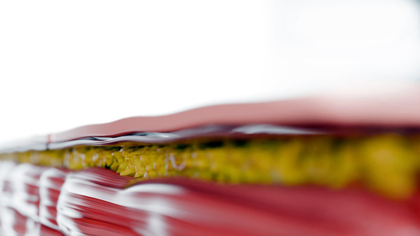 减肥比较。人的身体蜕变。之前和之后的粗腰和细腰，胖肚子之前和苗条贴合完美腹肌之后的快速减肥过程。体育训练。脂肪燃烧，3d渲染图片下载